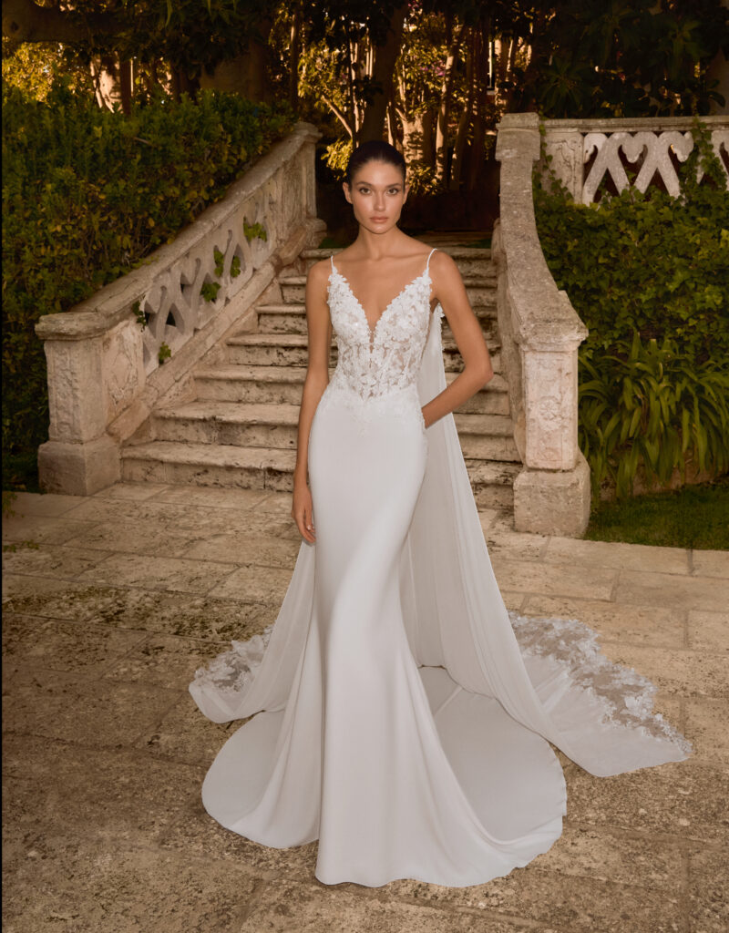 ELISA_AP_PREVIEW2026_1